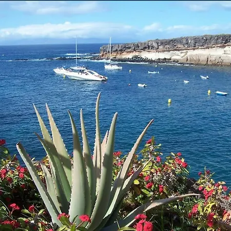 Apartamento X Appartement Costa Adeje (Tenerife)